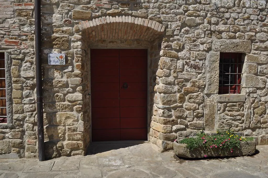 Azienda Agricola Palaia Villa Pelago 0*,  Italy