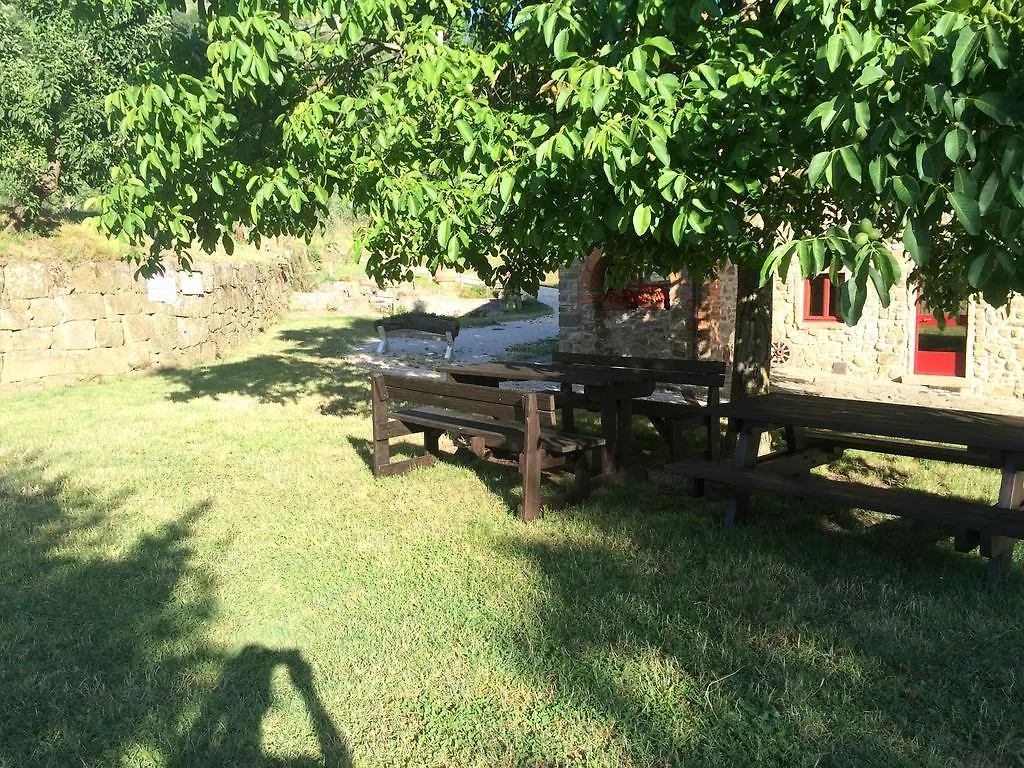 Farm stay Azienda Agricola Palaia Villa Pelago