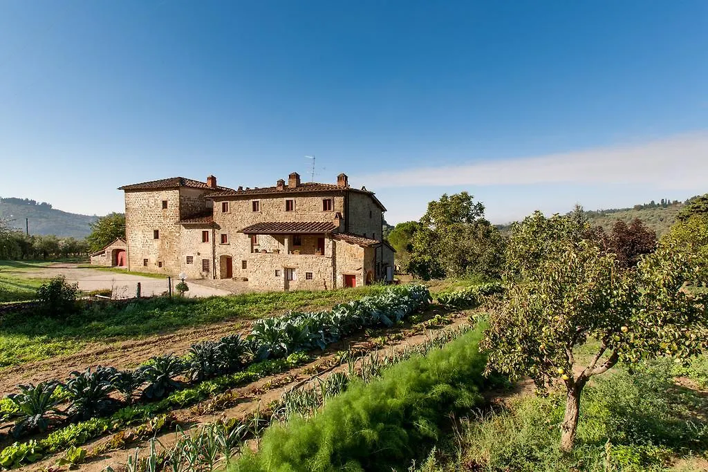 Azienda Agricola Palaia Villa Pelago